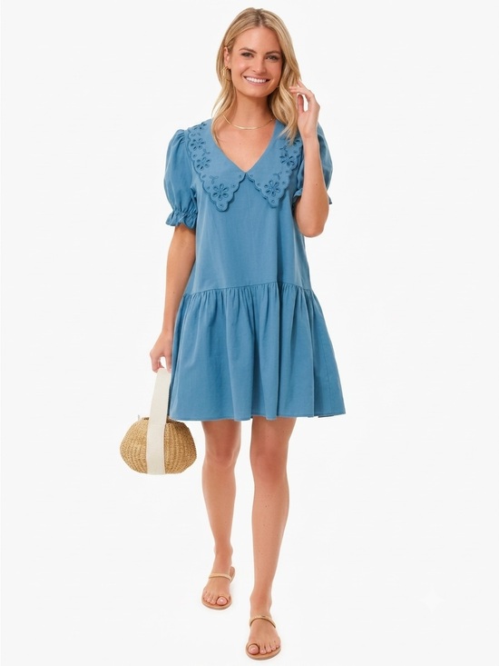 Tuckernuck Dresses & Skirts - Tuckernuck Pomander Place Kit Dress French Blue Eyelet Scallop Collar Mini XS